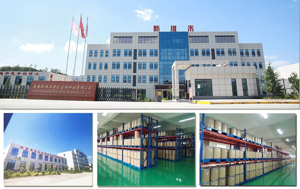 product-1000-629 factory