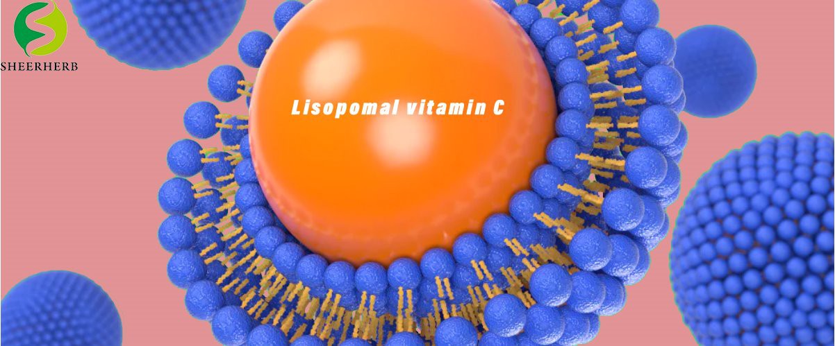 lisopomal v C12