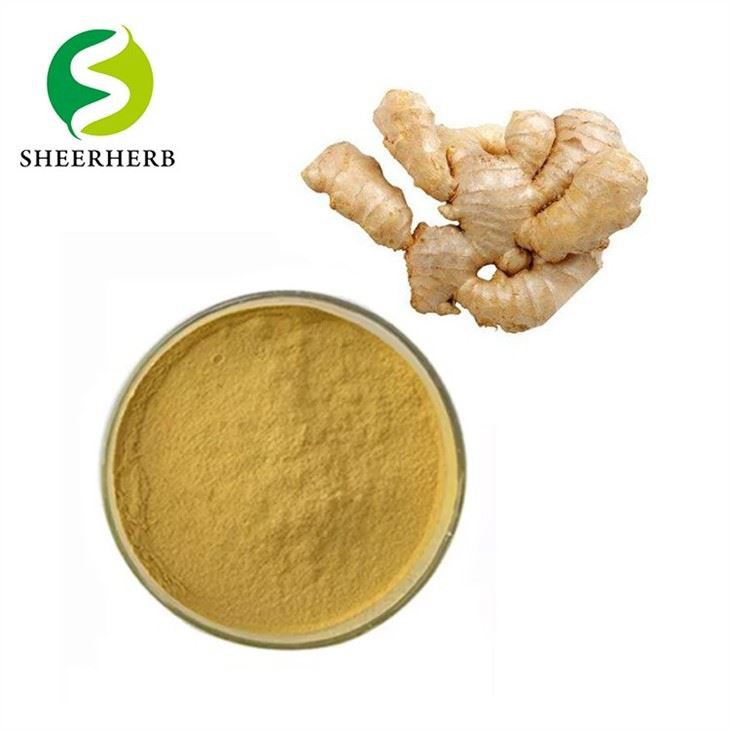 Ingwer-Extrakt Gingerol