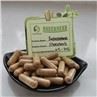 Turkesterone Powder
